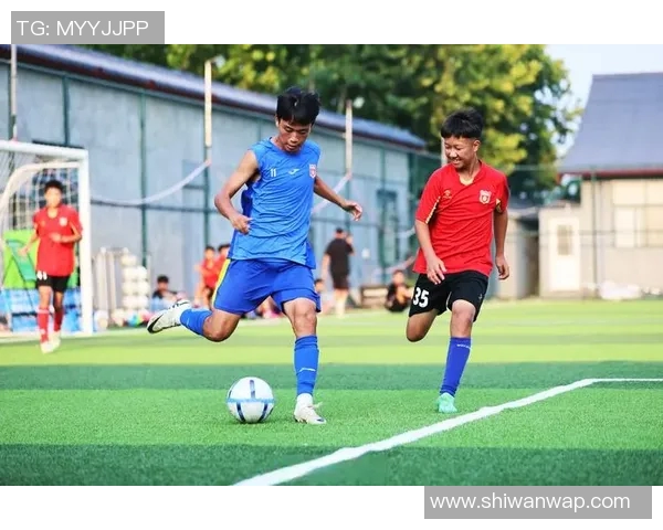 南京足球队挑战赛点评：团队协作展现出色默契与拼搏精神